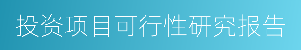 投资项目可行性研究报告的同义词