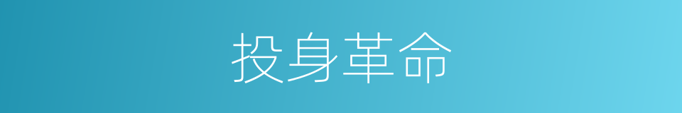 投身革命的同义词