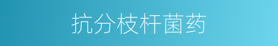 抗分枝杆菌药的同义词