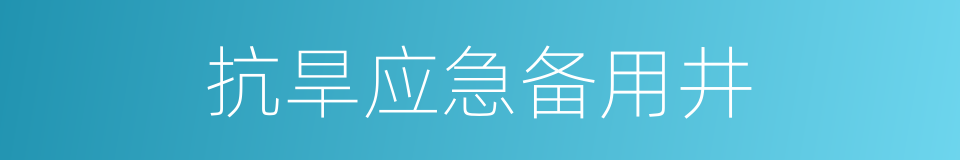 抗旱应急备用井的同义词