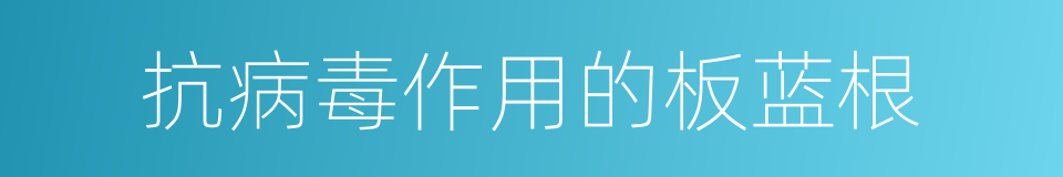 抗病毒作用的板蓝根的同义词