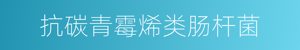 抗碳青霉烯类肠杆菌的意思