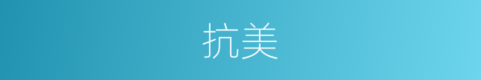 抗美的意思
