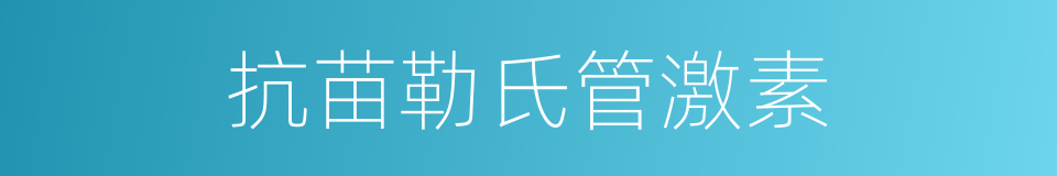 抗苗勒氏管激素的同义词