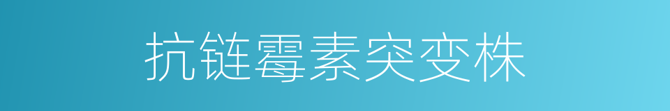 抗链霉素突变株的同义词
