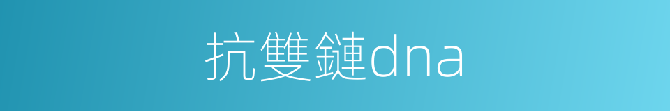 抗雙鏈dna的同義詞