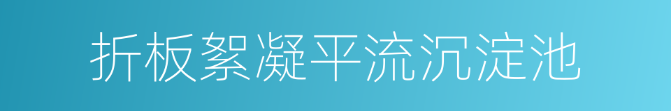 折板絮凝平流沉淀池的同义词