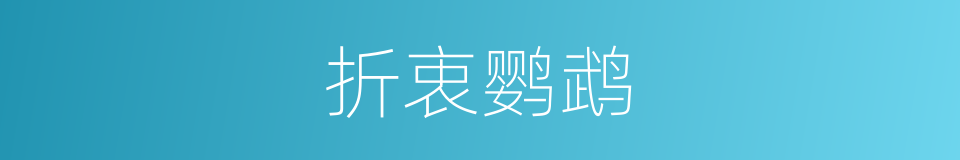 折衷鹦鹉的同义词