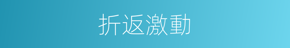 折返激動的同義詞