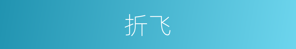 折飞的同义词