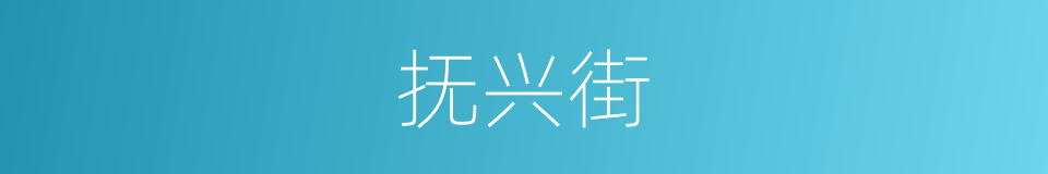 抚兴街的同义词