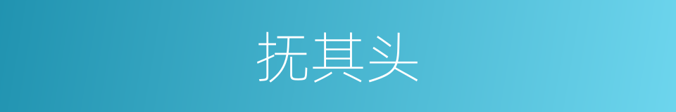 抚其头的同义词