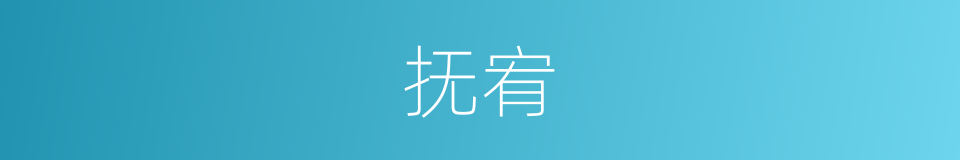 抚宥的意思