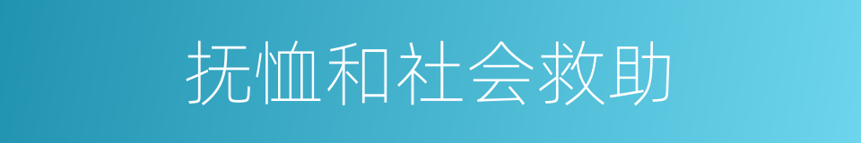 抚恤和社会救助的同义词