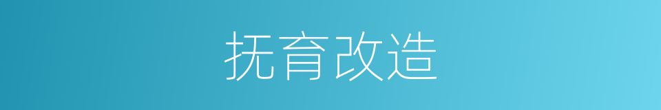抚育改造的同义词