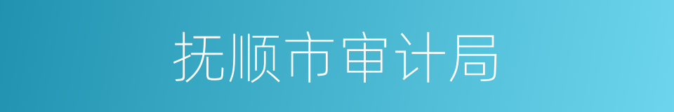 抚顺市审计局的同义词