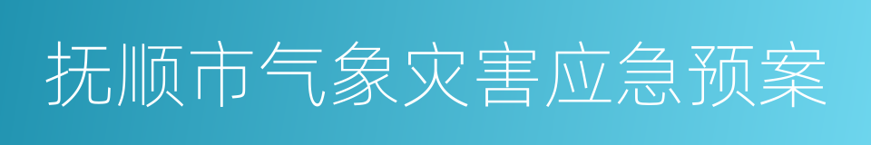 抚顺市气象灾害应急预案的同义词