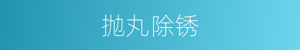 抛丸除锈的同义词