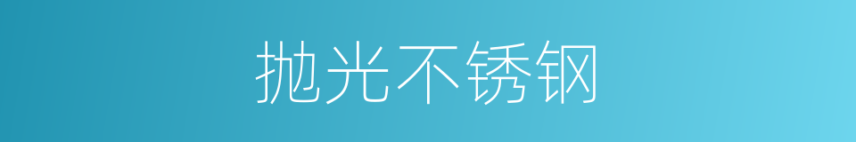 抛光不锈钢的同义词