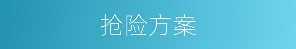 抢险方案的同义词