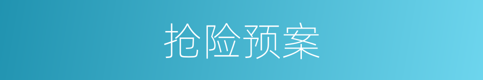 抢险预案的同义词