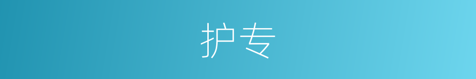 护专的同义词