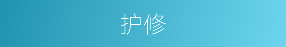 护修的同义词