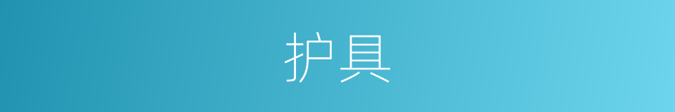 护具的意思