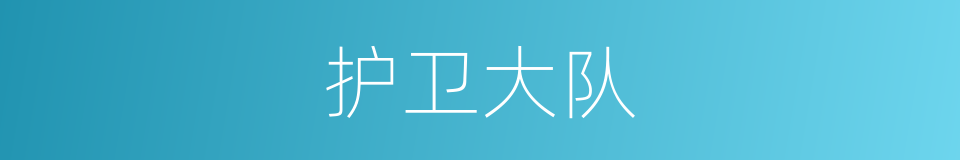 护卫大队的同义词