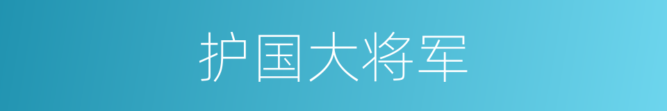 护国大将军的同义词