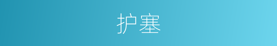 护塞的意思