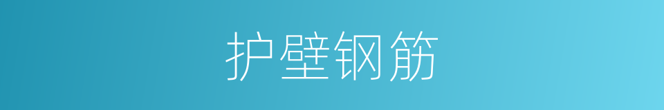 护壁钢筋的同义词