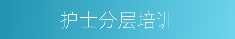 护士分层培训的同义词