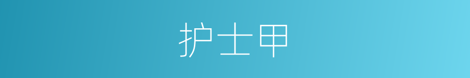 护士甲的同义词