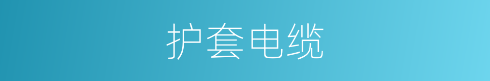 护套电缆的同义词