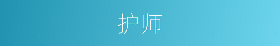 护师的意思