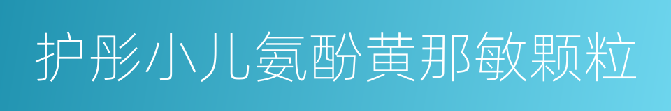 护彤小儿氨酚黄那敏颗粒的同义词