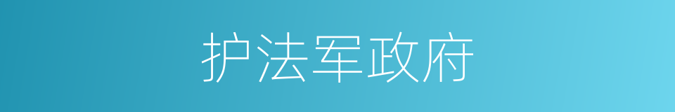 护法军政府的同义词