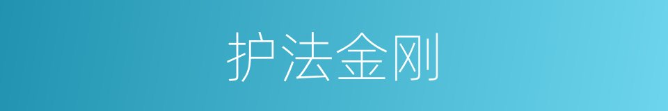 护法金刚的意思