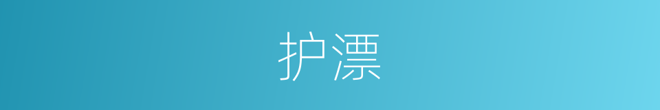 护漂的同义词