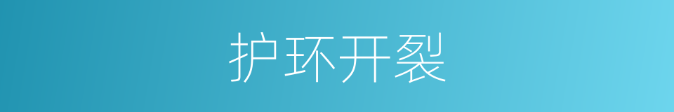 护环开裂的同义词