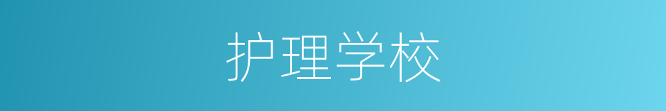 护理学校的同义词