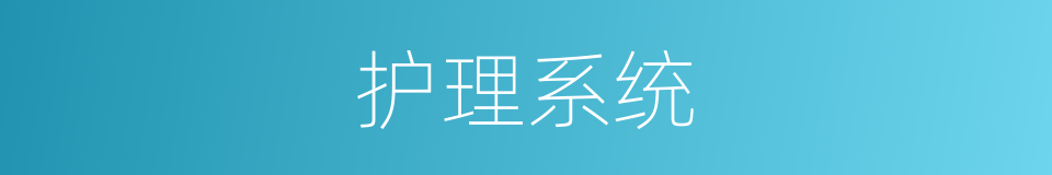 护理系统的同义词