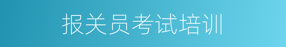 报关员考试培训的同义词