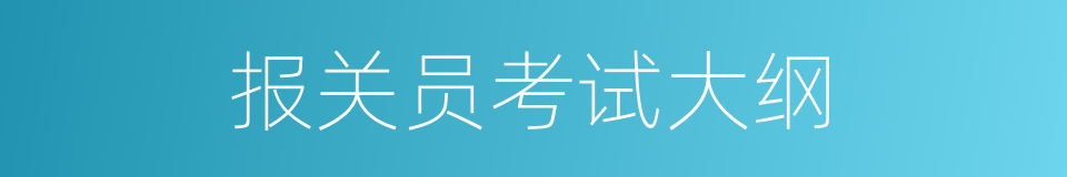 报关员考试大纲的同义词