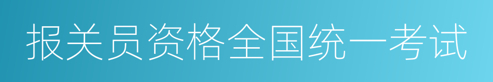 报关员资格全国统一考试的同义词