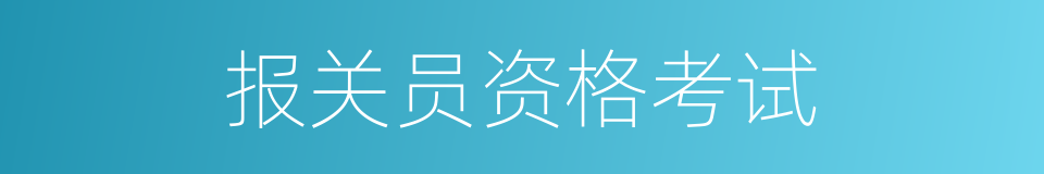 报关员资格考试的同义词