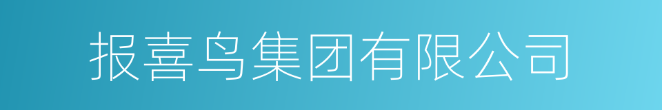 报喜鸟集团有限公司的同义词