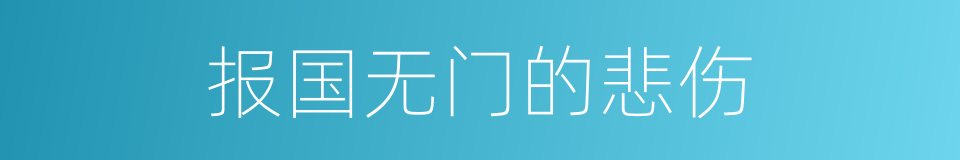 报国无门的悲伤的同义词