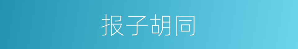 报子胡同的意思